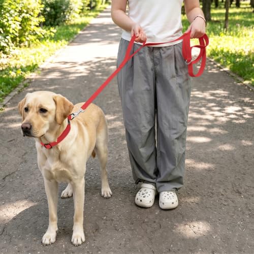 Waterproof Dog Leash with Double Handle, 6 FT Durable Odor-Proof Dog Leashes with Strong Aviation Aluminum Hooks Fits Small Medium or Large Dogs - color: Red, size: 6FT - Double Handle