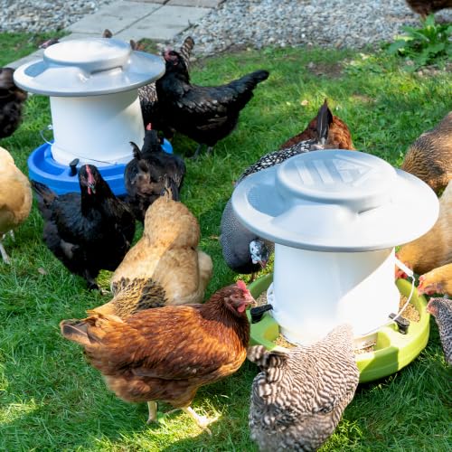 American Home Self-Filling Farmstead Chicken Drinker, Waterer, Feeder Automatic Chicken Coop Water and Feed Dispensers, 5 Gallon Capacity (Bucket Not Included), Weather-Resistant Design - size: Bundle