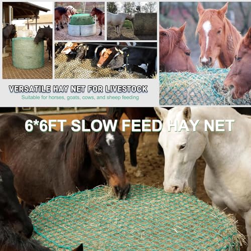 6x6 ft Round Bale Hay Net - Large Slow Feeder for Horses & Livestock, Knotless Design Slow Feeder Hay Nets, Fits 4x4ft 5x5ft 6x6ft Round & 3x3x8ft 4x4x8ft 5x5x8ft Square Bales (Green-Round) - color: Green-Round