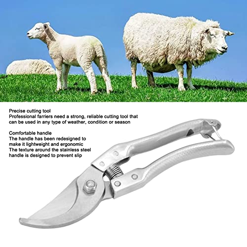 Goat Hoof Trimmers Pig Trotter Shears Animal Toe Nails Trimming Tool Stainless Steel Professional Hoof Trimmers with Anti Slip Ergonomic Handle for Sheep Cow Pig Hoof (Silver) - color: Silver