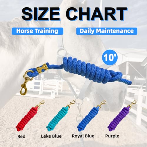 5/8" x 8' Nylon Horse Lead Rope (Royal Blue) | Durable nylon material, cast iron hardware, ideal for daily use, training and showing. - color: Royal Blue
