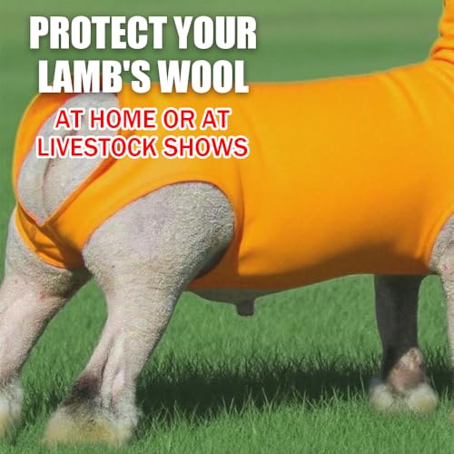Spandex Goat Tube for Show Goats - Show Livestock Supplies: Goat Covers & Blankets (Light Grayish Blue, Medium) - color: light grayish blue, size: Medium