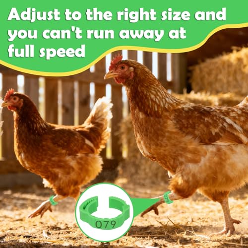 7Size-Adjustable Chicken Leg Bands, Plastic Poultry Rings with 1-100 Number for Hens Roosters Ducks Birds,Snap Lock Leg Bands for Farm Backyard Flock Tracking(100-pack,Assorted Colors)