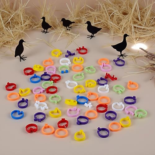 100PCS 10 Colors Poultry Leg Rings,8mm Poultry Foot Rings Bird Identification Leg Bands Clip-on Rings for Birds, Ducks and Chickens Diameter Poultry Care
