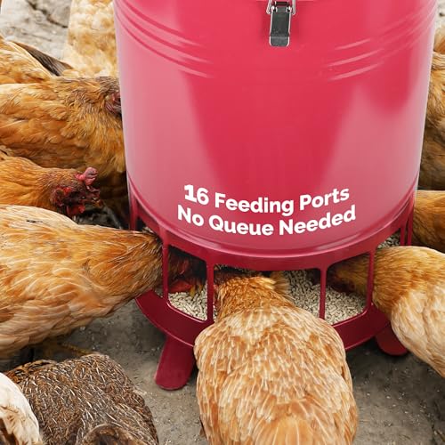 Solution4Patio 50LB No-Waste Chicken Feeder, Large Capacity Gravity Dispenser with Spill Control & 16 Feeding Ports Poultry Feeder for Outdoors & Hen Coop (Red) - color: Red