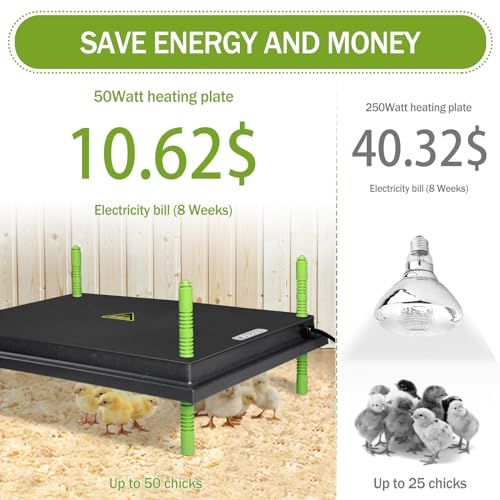 Chick Brooder Heater Plate for Up to 50 Baby Chicks Ducks | 16"x22" Brooder Plate for Chicks, Adjustable Height, Energy Saving, 50W, 110V - size: 22"L x 16"W
