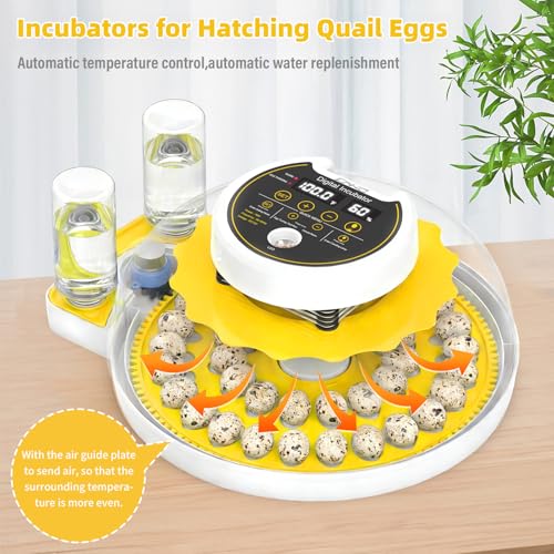 Quail Egg Incubator for Hatching 40 Quail Eggs with Automatic Turner | and Humidity Control,Small Brooder, Outdoor Poultry Egg Incubator, Suitable for Parrot Canary and Other Bird - color: Yellow