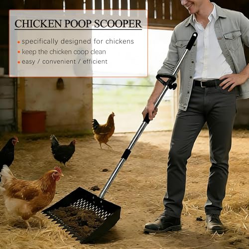 12Inch Chicken Poop Scooper 2-in-1 Coop Scoop with Adjustable Stainless Steel Handle (24-64'') Chicken Coop Rake Sand Sifting Chicken Coop Shovel for Farm Livestock Cleaning Tool