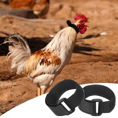 M METERXITY 10-Pack Rooster Collars, 8.07" x 0.79" Adjustable Soft Polyester Anti-Noise Neck Belt for Chickens and Poultry Birds, Noise Control Collar [Black] - color: Black