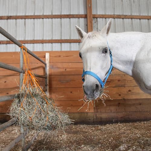 Majestic Ally 1200 D Hay Feeder Tote Bag for Horses, Sheep with Reflective Trim- Reduces Waste - Comes with 36” Hay Net. (Turquoise) - color: Turquoise