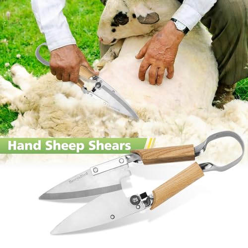 Berry&Bird Hand Shears, Single Bow Straight for Wool Sheep Shear for Alpaca, Pet, and Horse Shearing, Stainless Steel Large Grass Scissors for Cutting, Gardening, Pruning, and Trimming - 11.8'' Long