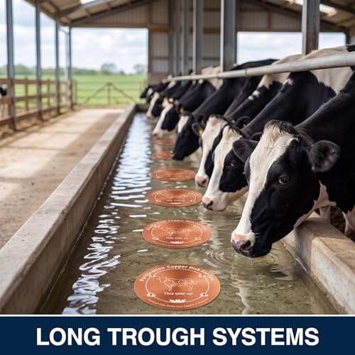 4 Pack 4 Inch Copper Disk for Cattle Water Trough, 99.9% Pure Copper Disc, 0.6mm Heavy Duty Water Purifier for Stock Tank, Horse Bowl, Poultry Fountain, Automatic Waterer Maintenance Kit