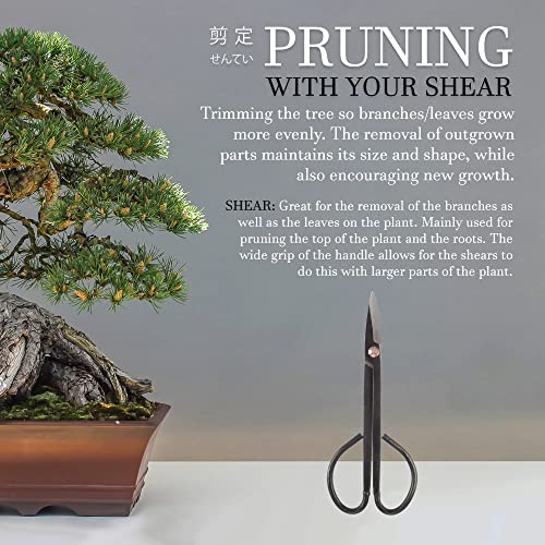 BambooMN 7.2" Black Bonsai Trimming Shear - 3 Pieces - color: 7.2" Trimming Shear, size: 3