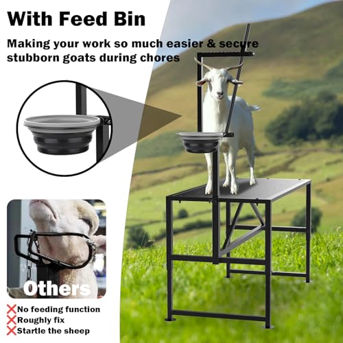 Goat Milking Stand with Feed Bin, 400LBs Goat Stand for Sheep Trimming and Milking, Hoof Trimming Stand Adjustable Size for Pygmy, Dwarf Goats, Iron Black - color: Black, size: M-35*18 Inch