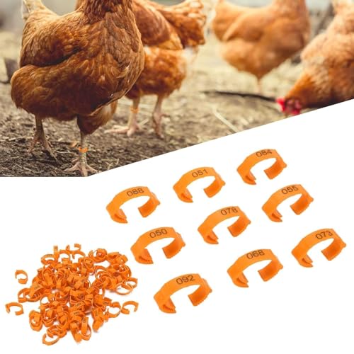 100Pcs Chicken Leg Rings, 5 Colors Readable Numbered Chicken Identification Leg Bands Card Slots Design Poultry Leg Tags for Chicks Ducks (Orange (100 Pieces per Pack)) - color: Orange (100 Pieces Per Pack)