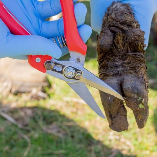 Hoof Trimming Shears, SK-5 Steel blade with Anti Fatigue Thermoplastic Rubber Handle for Hoof Care on Goats and Sheep, 32-734, Red