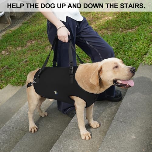 Coodeo Dog Lift Harness, Pet Support & Rehabilitation Sling Lift Adjustable Padded Breathable Straps for Old, Disabled, Joint Injuries, Arthritis, Loss of Stability Dogs Walk (Black, S) - color: Black, size: Small