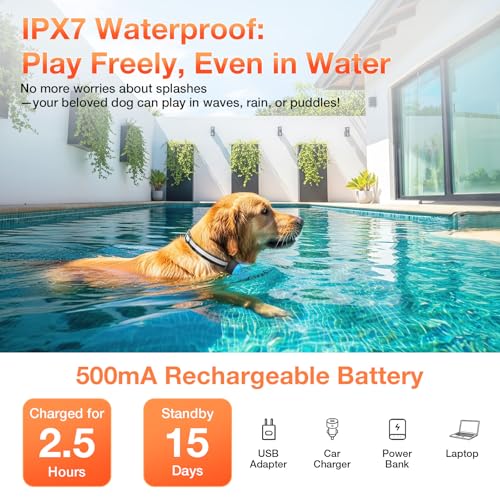 Electric Fence for Dogs, Electric Dog Fence with 2 Waterproof Collar | Underground Dog Fence Rechargeable, 656Ft Boundary Wire, Radio Boundary, Dog SafetyWired Dog Fence System for 2 Dogs