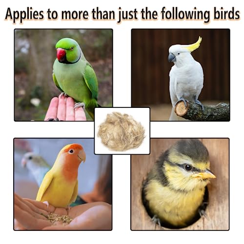 Natural Mixing Bird Nesting Materials,4 Kinds of Material Professional Ratio Matching Nesting Material Pads for Bird,Bird Nesting Material for Budgie,Parrot,Finche,Canaries,Other Birds（1.4oz/40g） - style: 1.4oz/40g