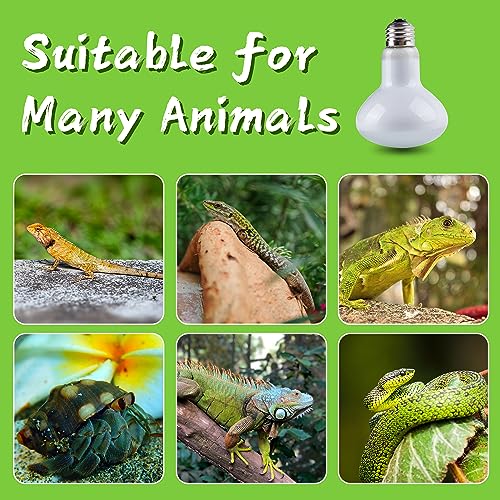Reptile Heat Light Bulb, 100 Watt UVA Basking Spot Lamp Bulbs, Daylight Heating Spotlight for Turtle, Bearded Dragon, Tank, Lizard, Snake, Leopard Gecko, Chameleon, Ball Python - 4 Pack - size: 4 Pack