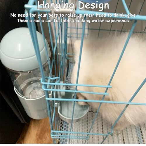 Tfwadmx Rabbit Watter Bottle 17oz Dispenser No Drip Small Animal Cage Water Feeder Bowl Hanging Guinea Pig Automatic Water for Bunny Chinchilla Hedgehog Ferret (Blue) - color: Blue Watere 1pcs
