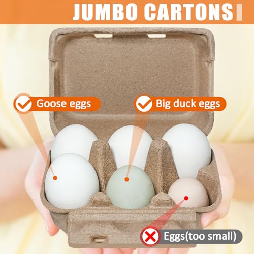 tutata Goose Egg Cartons, 15 Pack, Half Dozen Jumbo Egg Carton, Blank Top | Pulp Carton, for Goose Eggs Or Jumbo Duck Eggs