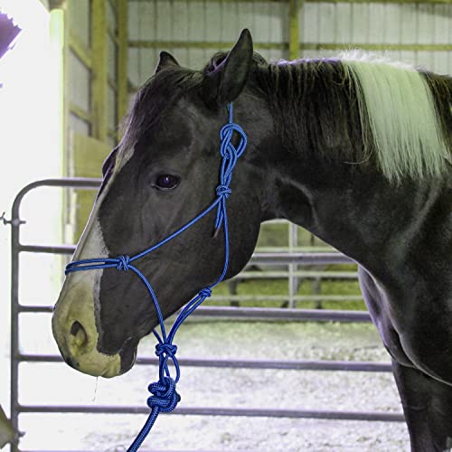 Majestic Ally 1/4" Rope 4 Knot Stiff Polyester Training Halter with 10’ Matching Lead Rope for Horses – Full (Royal Blue, Full) - color: Royal Blue, size: Full