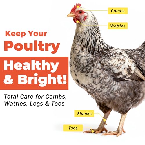 Respiratory Aid for Poultry - Chicken Supplement - Drinking Water Additive - Supports Respiratory Health in Roosters - Suitable for All Birds - 6 oz Dropper - Made in USA