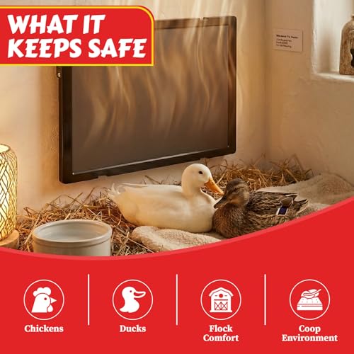 My Favorite Chicken Radiant Chicken Coop Heater – 100-Watt Flat Panel Heater for Chickens, Energy-Efficient Chicken Coop Heater for Winter, Safe Radiant Heat Panel