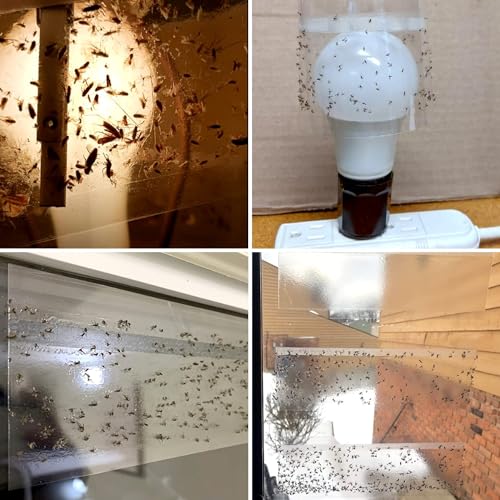 LFSYS 35XL Window Fly Traps Indoor Fruit Fly Traps for Indoors | Window Fly Traps Sticky Paper Indoor Fruit Fly Gnat Trap Fly Strips