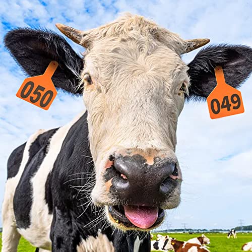 One-Piece Cattle Ear Tags 001-050 Number TPU Large Size Animal Identification Tags Cattle Livestock Ear Tags for Cows Hogs Sheep Tagging Farm Animal Supply (001-050, Orange) - color: Orange