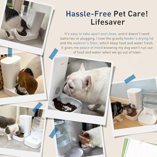 PAWGETHER® Gravity Cat Feeder, 1 Gallon/3.5L Dog Food Dispenser, No-Electricity Automatic Pet Feeder, Auto Refill Food Bowl for Cats & Small, Medium Dogs Easy to Fill - color: Feeder