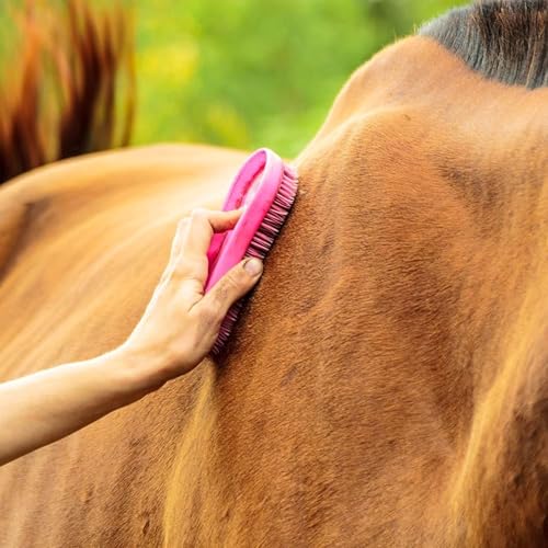 Intrepid International Magic Horse Brush, for Horse Grooming Kit w/Durable Plastic Bristles, Horse Brushes for Grooming, Light Pink
