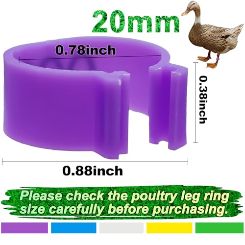 96 Pcs 20mm Duck Identification Leg Bands with 8 Color, Chicken Duck Ankle Tags Poultry Leg Foot Rings for Ducks Chicken Guinea Goose Gamefowl Turkey - size: 20mm - 8 Colors