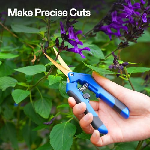 VIVOSUN 6.5 Inch Garden Scissors, Blue Pruning Shears for Plants, 2-Pack | Curved Precision Stainless Steel Blades, Comfort Ergonomic Grips, Ideal Snip for deadheading, Trimming & Shaping Plants - style: Blue Curved Blade