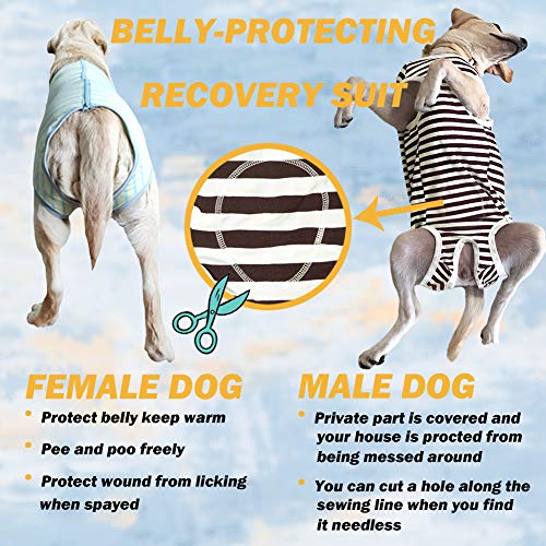 Dog’s Recovery Suit Post Surgery Shirt for Female Male Dog, E-Collar Alternative Wound Protective Clothes (Blue White-XL) - color: blue white stripe, size: xl