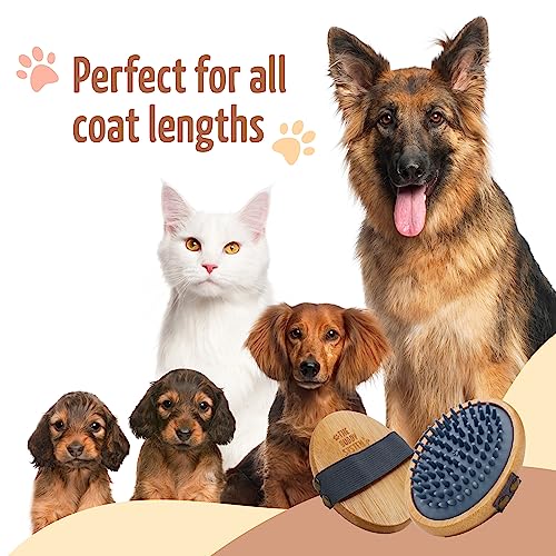 The Buddy System - Pet Close Brush, Oval Palm Brush with Rubber Bristles | Dog & cat grooming brush for shedding, massage, healthy coat, and pet hair care, with rubber bristles for a daily grooming - color: Rubber Bristle - Gray