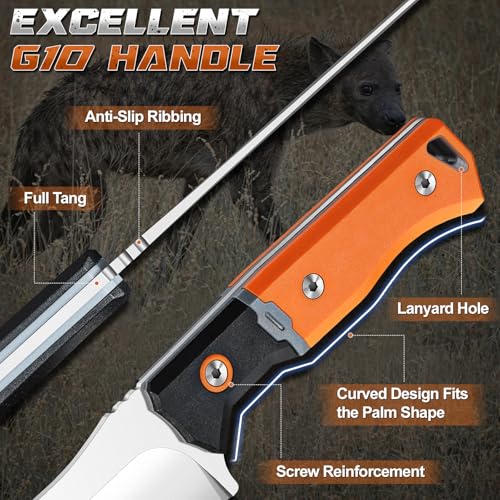 Purple Dragon Outdoor Knife for Skinning - Drop Point Skinning Knife Orange | Forged from a Single Piece of D2 Steel, Full Tang G10 Handle, Gift Box - size: 4.9 inch