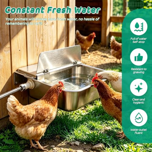 2.5 Gal Automatic Dog Water Dispenser,Self Filling Stainless Steel | Float Valve Auto-Refill |Fits 3/4" GHT | Wall Mount & Floor Use | Anti-Slip|Drain Plug| For Dogs, Cats, Chickens & Livestock