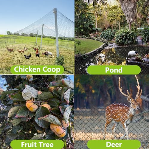 100x100ft Bird Netting for Chicken Coop, 1" Mesh Chicken Coop Netting Cover | Poultry Netting Roof for Chicken Run, Hawk Proof, Bird Netting for Garden, Fruit Trees, Plants, Vegetables, Garden Protection - size: 100'x100'-1''