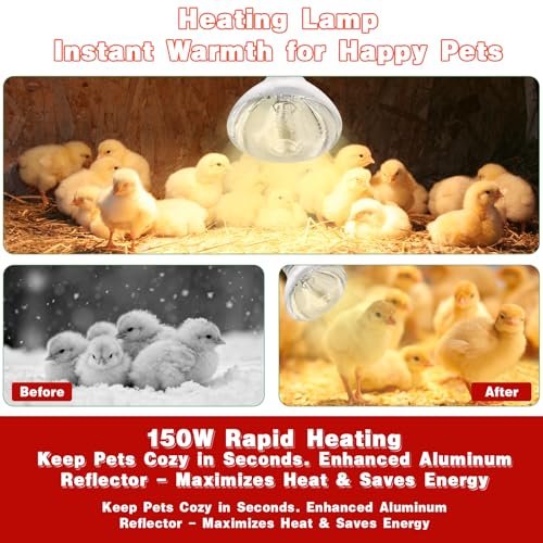 250W Heat Lamp Bulbs for Chicks Infrared Heat Lamp for Chicks （2 Packs） | 250W Infrared Heating Lamp，Even heat distribution，High-Quality Material, Heat-resistant and Distortion-free