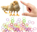100PCS Baby Poultry Leg Bands, Soft Elastic Chicken Leg Rings for Identification, Comfort Fit for Chicks Ducklings Bantams Pigeons Parrots Canaries and Small Birds (Large (Size 5) 5/16”) - size: LARGE (Size 5)5/16”