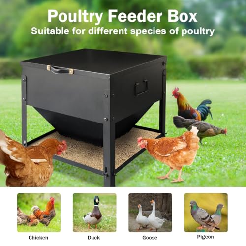 Metal Chicken Feeder No Waste, Large Capacity Poultry Feeder, Adjustable Galvanized Steel Chicken Coop Feeder with Lid and Handle