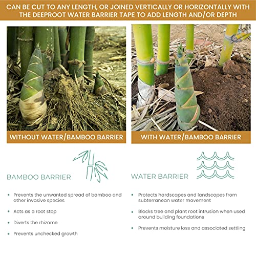 DeepRoot Water & Bamboo Root Barrier, HDPE, 36" x300' 60mil, USA Made | Durable HDPE blocks roots & water intrusion; easy-cut install; joins with sealant tape; 100% recycled, fully recyclable. - size: 36-Inch by 300-Feet Roll, 60mil Thickness, style: 60mi