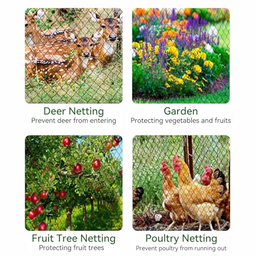 Bird Netting 25x25 FT 1/2 Inch Mesh Heavy Duty Woven Mesh Netting | Heavy duty woven mesh protects fruit trees, berries and gardens from birds & small animals with UV-resistant durability - size: 25x25Ft-0.5"