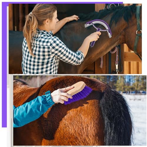 Abbylike 12 Pieces Horse Grooming Kit Racing Festival Tack Room Supplies Horse Brush Sets Equine Care Cleaning Kit Shedding Grooming Massaging Tools(Gray and Purple) - color: Gray and Purple