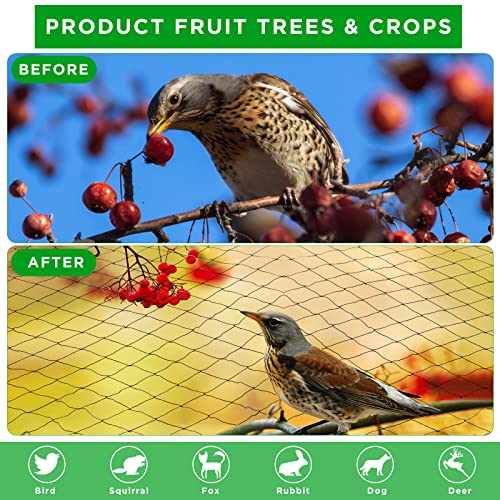 Windyun 1 Pc Bird Netting 50' X 100', 2.4" Mesh Poultry Net for Garden | Heavy Duty Reusable Poultry Barrier for Fruit Tree, Vineyard, Chicken Coop Protection Against Deer, Hawk, Squirrel - size: 50' X 100'