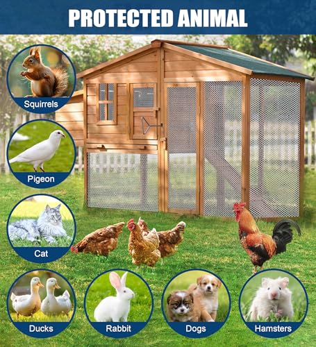 16 inx16.4 ft White Plastic Chicken Wire Mesh with 30 Zip Ties | Easy to cut and bend, no sharp edges. Ideal for poultry, rabbits, dogs, garden beds, balcony screens, floral guards & DIY. - color: 16ft White
