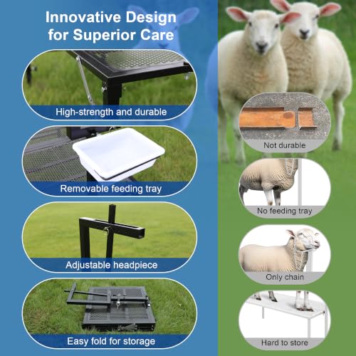 Foldable Goat Miliking Stand - 51x23 inch Metal Livestock Stand with Removable Feeding Tray, 500lbs Capacity Goat Sheep Stand for Trimming Shearing Milking Hoof with Adjustable Headpiece and Height