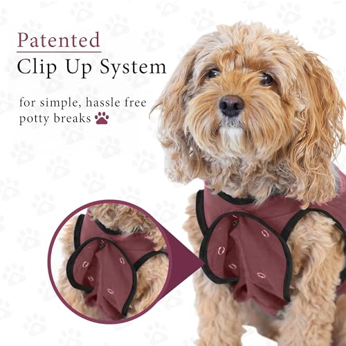 Dog Surgery Recovery Suit, Male Female After Spay Neuter Onesie | Soft Breathable Cotton, Anti-licking Cone Alternative, Protects Stitches & Abdominal Wounds, Patented Clip-up Potty System - color: Rose, size: X-Small
